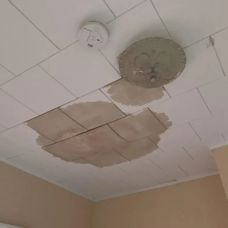 Ceiling Water Damage Repair in Pipestone, MN