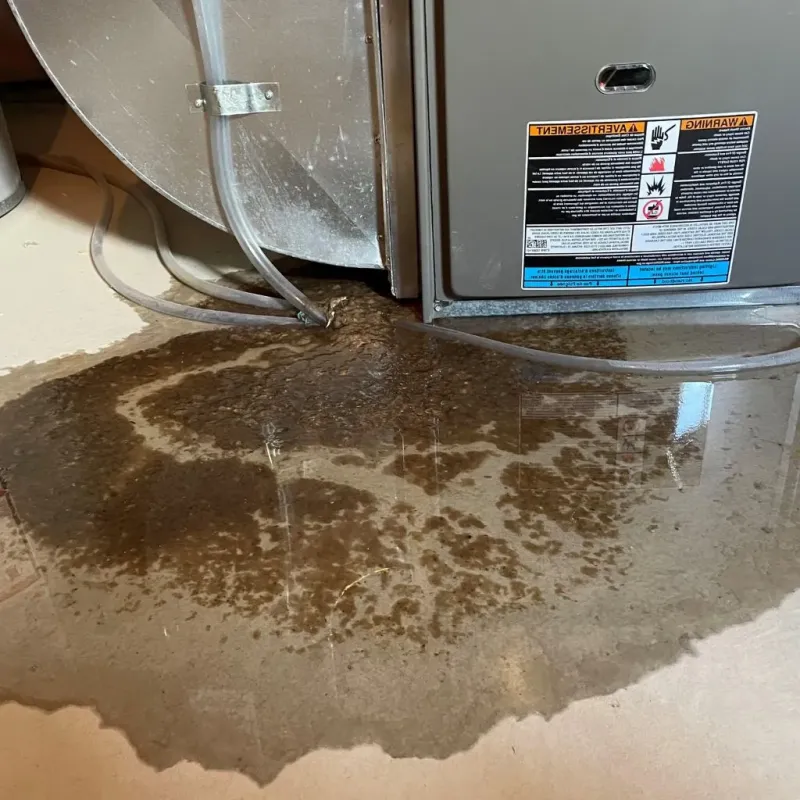 Pipe Burst and Leak Restoration in Pipestone, MN