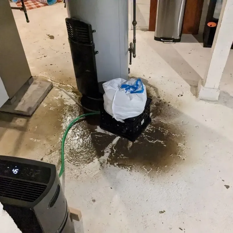 Sewage Backup Cleanup Service in Pipestone, MN